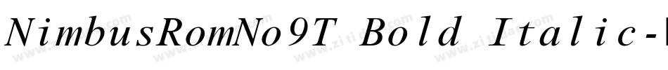 NimbusRomNo9T Bold Italic字体转换